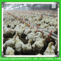 Reasonable design system for broiler chicken/broiler chicken breeding machine